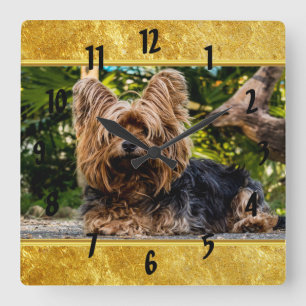 Adorable sweet Yorkshire terrier gold foil design Square Wall Clock