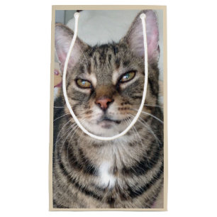 Adorable Tabby Cat Photo Gift Bag