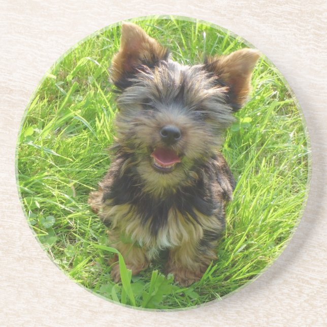 Adorable Terrier Dog Coaster (Front)