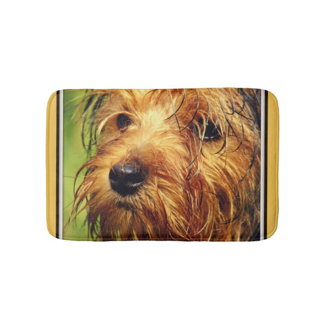 Adorable Terrier Dog with a Wet Face Bath Mat (Front)