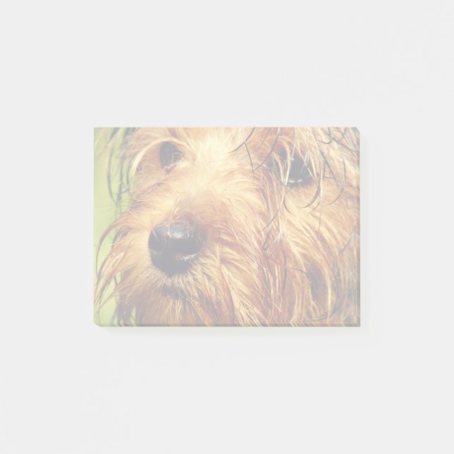 Adorable Terrier Dog with a Wet Face Post-it Notes (Front)