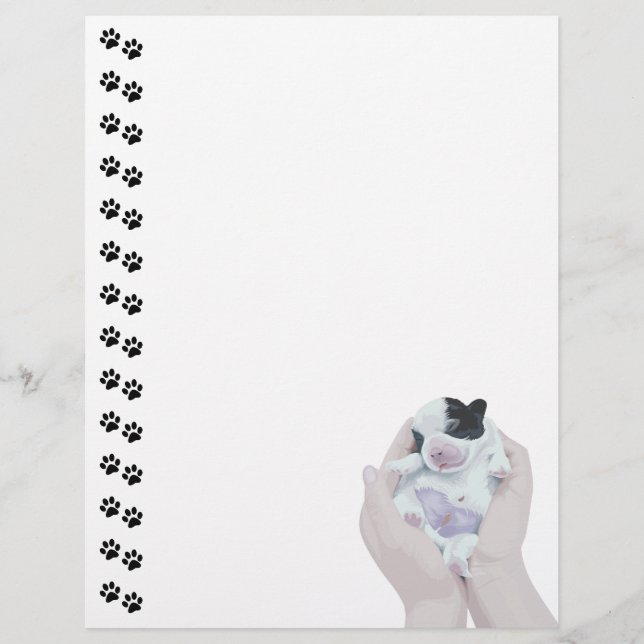 Adorable Tiny Newborn Puppy  Letterhead (Front)