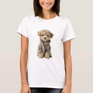 Adorable Toy Poodle Puppy in Cozy Knitted Sweater