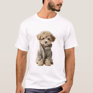Adorable Toy Poodle Puppy in Cozy Knitted Sweater