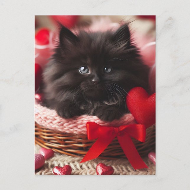 Adorable Valentine Fluffy Black Kitten in Basket Postcard (Front)