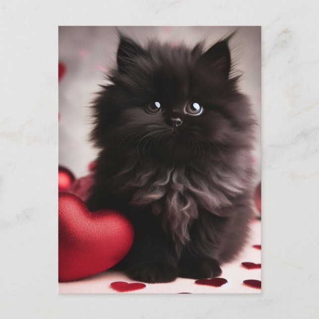 Adorable Valentine Fluffy Black Kitten Postcard (Front)