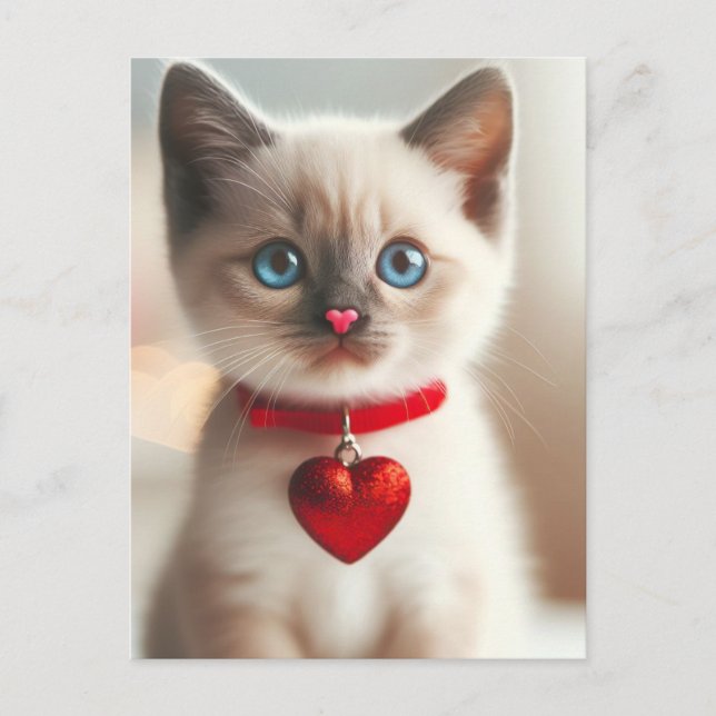 Adorable Valentine Kitten with Heart on Collar Postcard (Front)