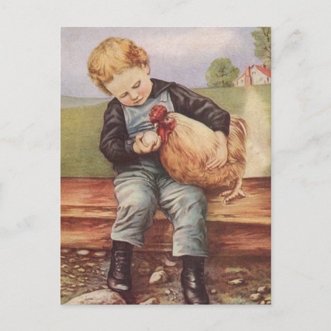 Adorable Vintage Boy and Chicken Postcard (Front)