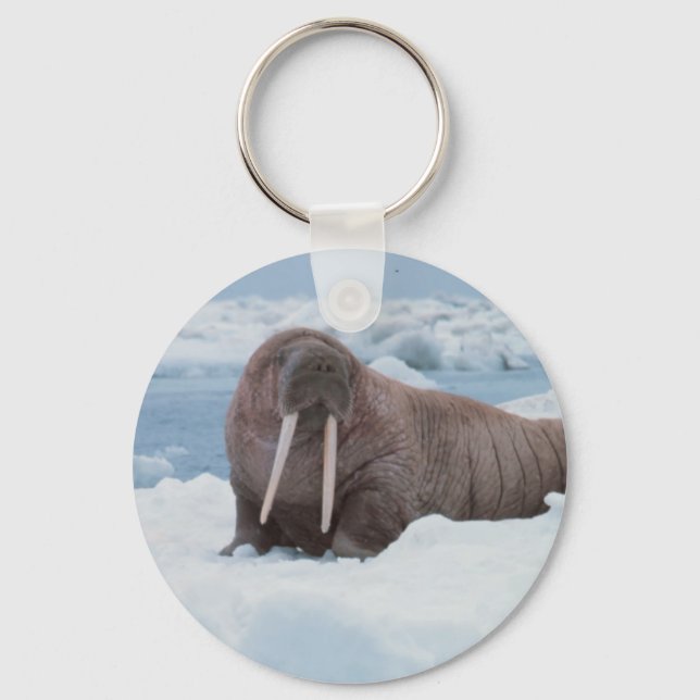 Adorable Walrus Keychain (Front)