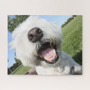 Adorable Westie Jigsaw Puzzle