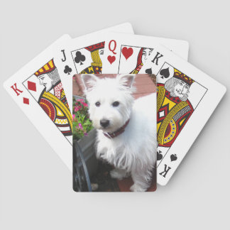 Adorable Westie playing cards