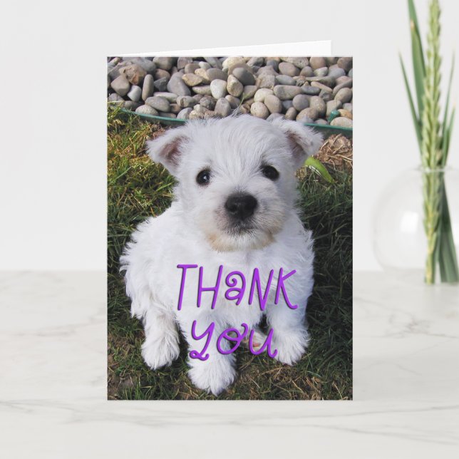 Adorable Westie Puppy Photo Carte de remerciements (Devant)