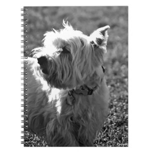 Adorable Westie Terrier Collection Notebook