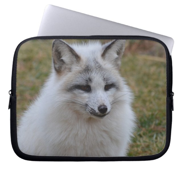 Adorable White Fox Laptop Sleeve (Front)