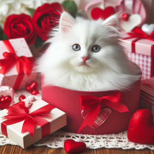 Adorable White Kitten in Box Funny Valentine Holiday Card