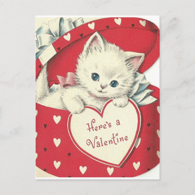 Adorable White Kitten Vintage Valentine Postcard (Front)