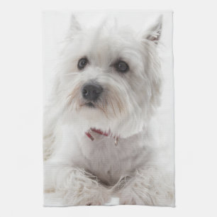 Adorable White West Highland Terrier Kitchen Towel