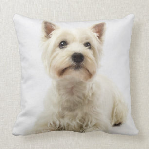 Adorable White West Highland Terrier Throw Pillow