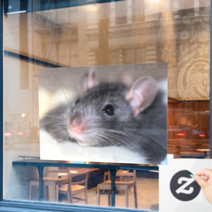 Adorable Window Cling