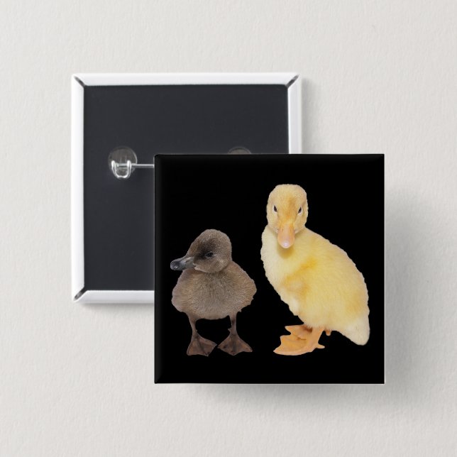 Adorable Yellow and Grey Duckling Photograph 2 Inch Square Button (Front & Back)