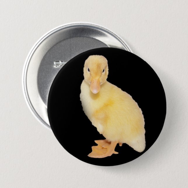 Adorable Yellow Duckling Close-Up Photograph 3 Inch Round Button (Front & Back)