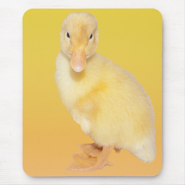 Adorable Yellow Duckling Photograph Mouse Pad (Front)