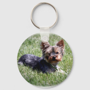 Adorable Yorkie Keychain