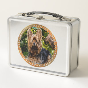 Adorable Yorkshire brown and black terrier Metal Lunch Box
