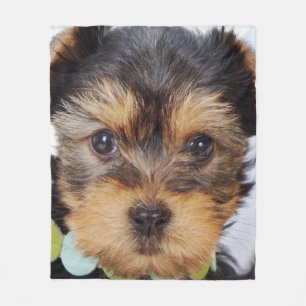 Adorable Yorkshire Terrier Fleece Blanket