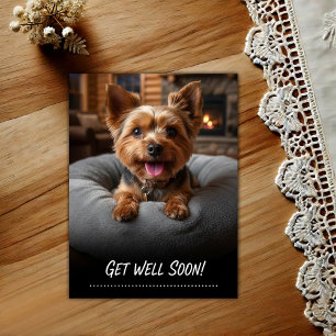Adorable Yorkshire Terrier Get Well Postcard