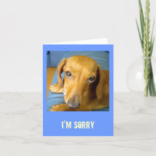 adorableeyes, I'm Sorry Card