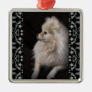 Adorably Cute Posing Pomeranian Puppy Metal Ornament