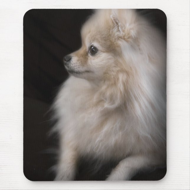 Adorably Cute Posing Pomeranian Puppy Mouse Pad (Front)