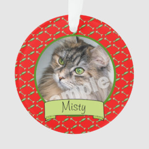 Adoranle Kitty Cat Photo and Name Ornament
