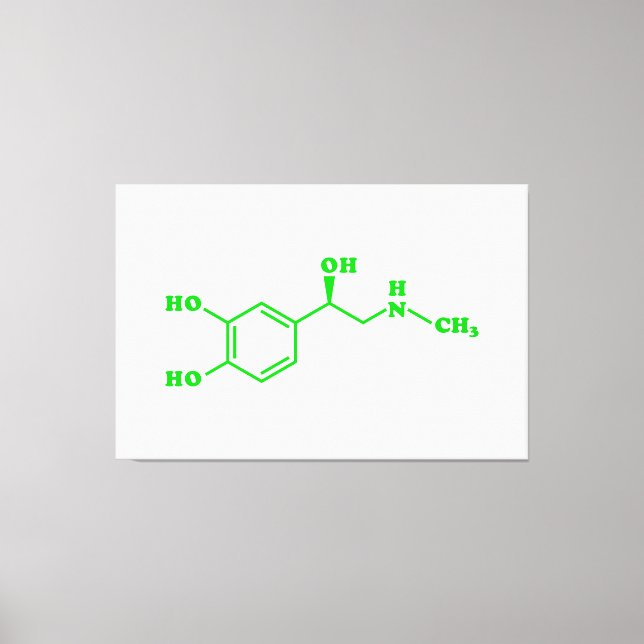 Adrenaline Molecular Chemical Formula Canvas Print (Front)