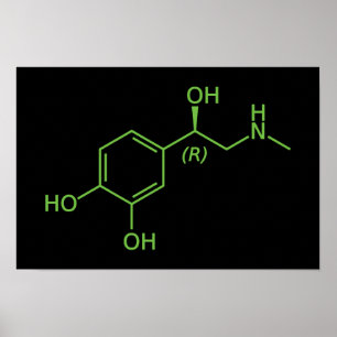 Adrenaline Molecule Chemical Diagram Poster