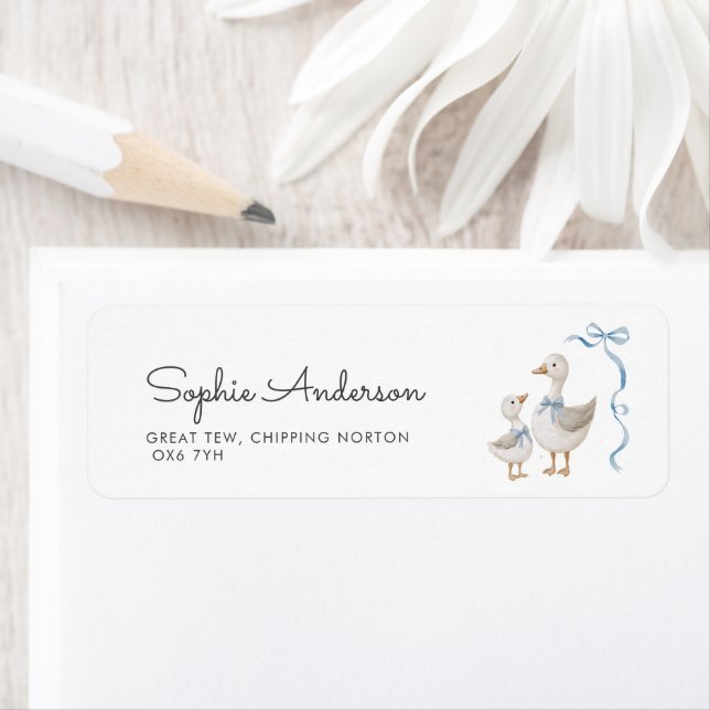 Adresse Baby shower de soie Goose Boy (En situation)