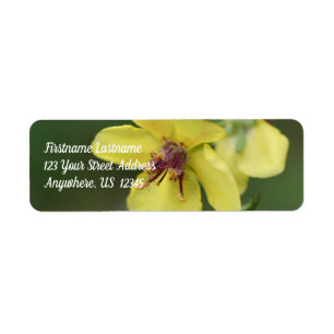 Adresse de fermeture de la fleur jaune délicate