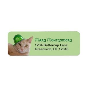 Adresse de joli chat orange portant un chapeau irl