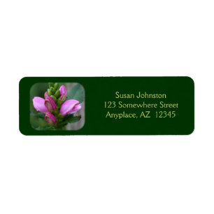 Adresse de la fleur à tête rose