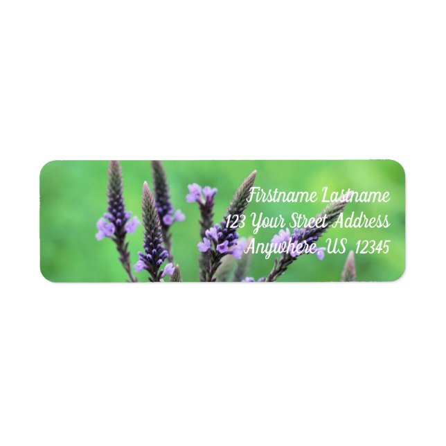Adresse de la fleur de vervain pourpre sauvage (Devant)