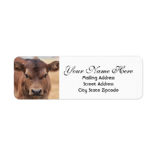 Adresse de retour Brown de veau adorable