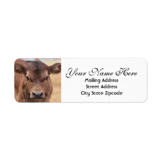 Adresse de retour Brown de veau adorable