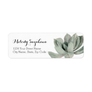 Adresse de retour d'aquarelle succulente de vert