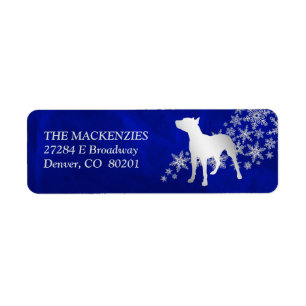 Adresse de retour de Blue Winter Pit
