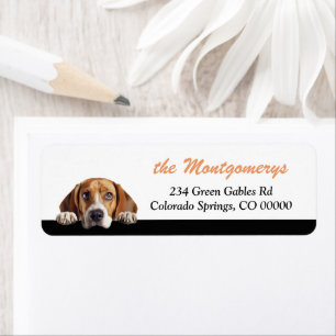 Adresse de retour de chien Beagle mignon qui regar