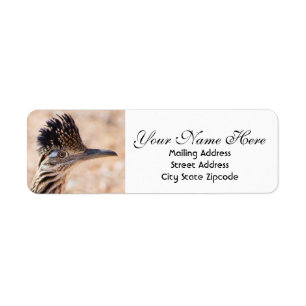 Adresse de retour de la face de Roadrunner