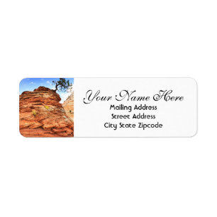 Adresse de retour de l'arbre de zion