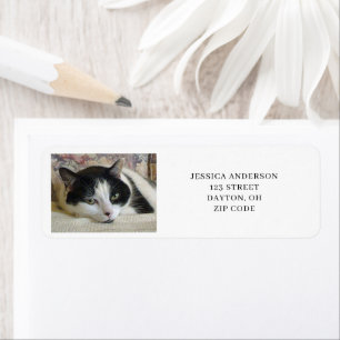 Adresse de retour de photos de chat simple
