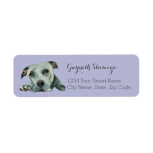 Adresse de retour de pitbull de chien mignon de